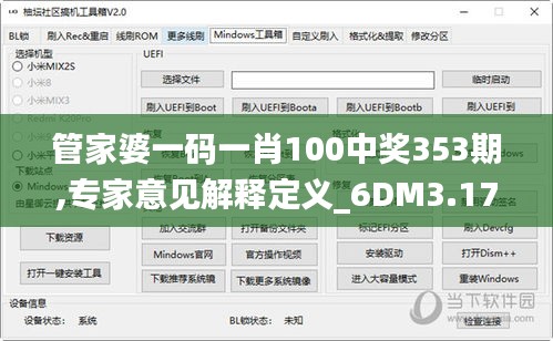 管家婆一码一肖100中奖353期,专家意见解释定义_6DM3.179