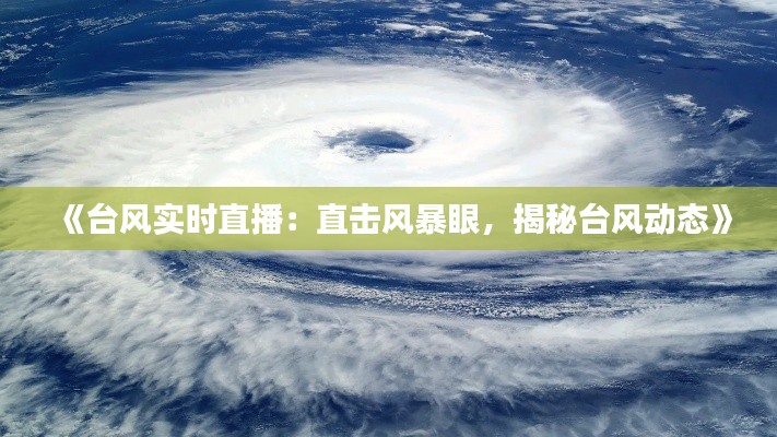 《台风实时直播：直击风暴眼，揭秘台风动态》