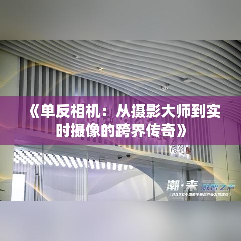 《单反相机：从摄影大师到实时摄像的跨界传奇》