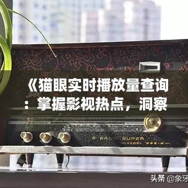 《猫眼实时播放量查询：掌握影视热点，洞察市场脉搏》
