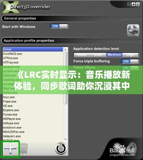 《LRC实时显示：音乐播放新体验，同步歌词助你沉浸其中》