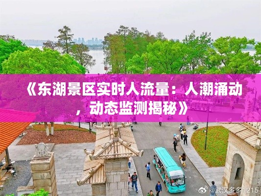 《东湖景区实时人流量：人潮涌动，动态监测揭秘》
