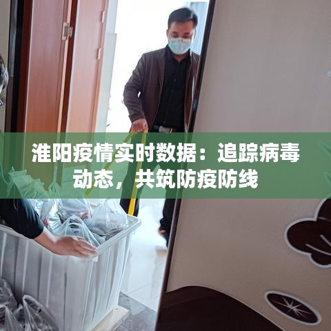 淮阳疫情实时数据：追踪病毒动态，共筑防疫防线