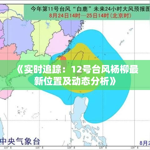 《实时追踪：12号台风杨柳最新位置及动态分析》
