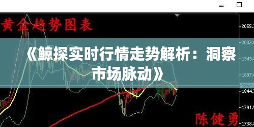 《鲸探实时行情走势解析：洞察市场脉动》