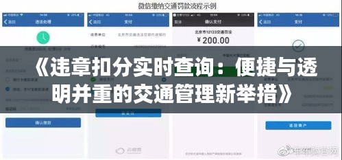 《违章扣分实时查询：便捷与透明并重的交通管理新举措》