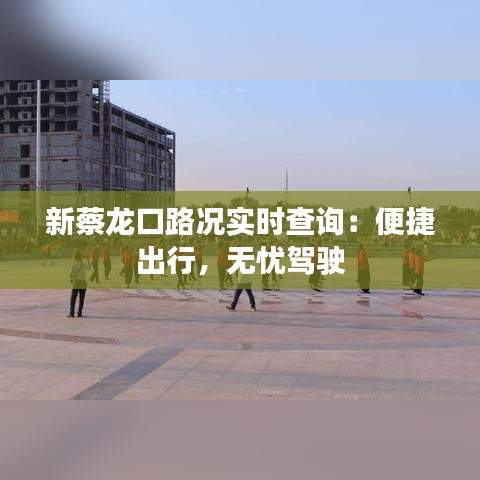新蔡龙口路况实时查询：便捷出行，无忧驾驶