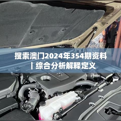 搜索澳门2024年354期资料｜综合分析解释定义