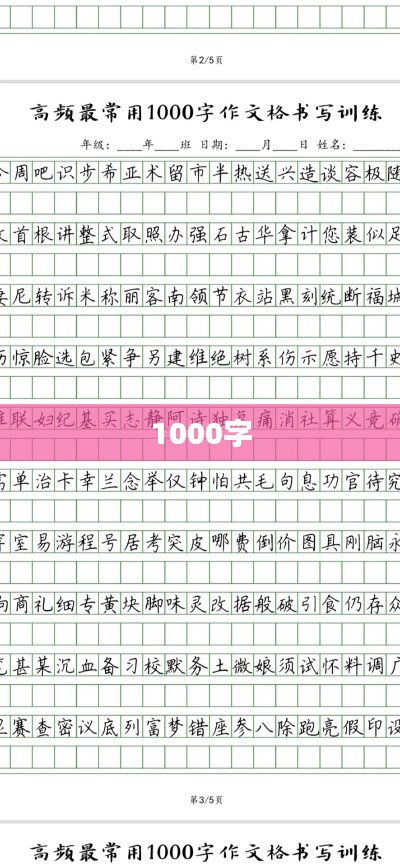 1000字