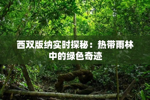 西双版纳实时探秘：热带雨林中的绿色奇迹