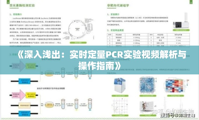 物是人非 第3页