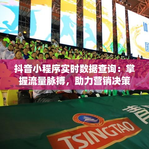 抖音小程序实时数据查询：掌握流量脉搏，助力营销决策