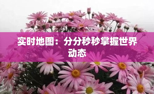 实时地图：分分秒秒掌握世界动态