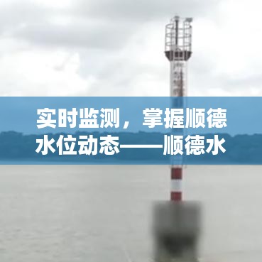 实时监测，掌握顺德水位动态——顺德水位实时数据解析