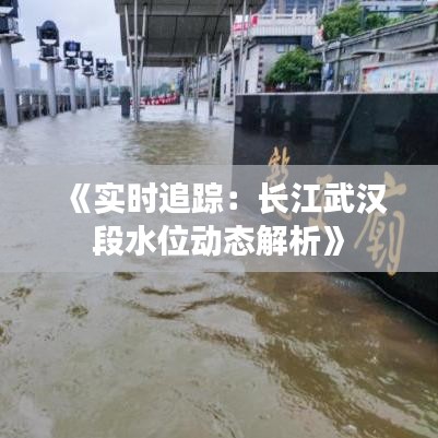 《实时追踪：长江武汉段水位动态解析》