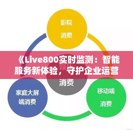 《Live800实时监测：智能服务新体验，守护企业运营无忧》