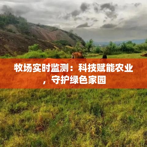 牧场实时监测：科技赋能农业，守护绿色家园