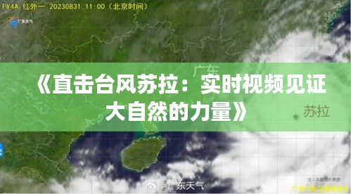 《直击台风苏拉：实时视频见证大自然的力量》