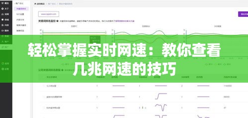 轻松掌握实时网速：教你查看几兆网速的技巧