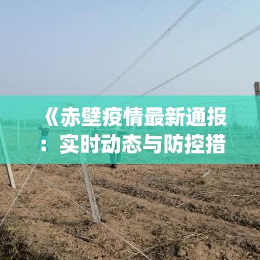 《赤壁疫情最新通报：实时动态与防控措施一览》