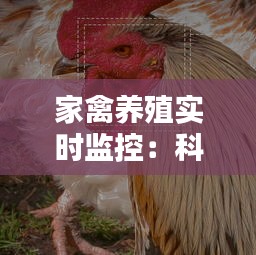 蛙鼓蝉鸣 第3页