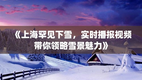 《上海罕见下雪，实时播报视频带你领略雪景魅力》