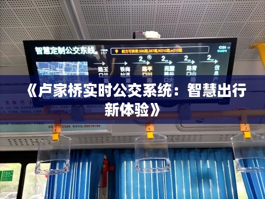 《卢家桥实时公交系统：智慧出行新体验》