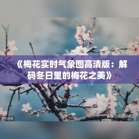 《梅花实时气象图高清版：解码冬日里的梅花之美》