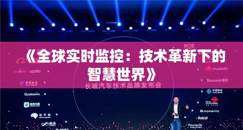 《全球实时监控：技术革新下的智慧世界》