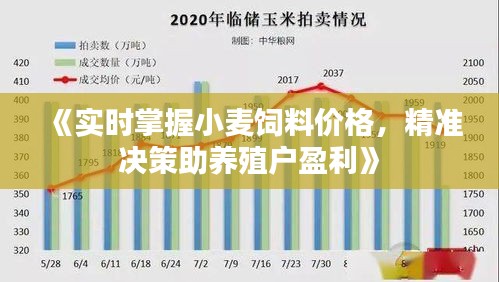 《实时掌握小麦饲料价格，精准决策助养殖户盈利》