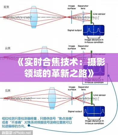 硕果仅存 第4页