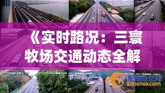 《实时路况：三寰牧场交通动态全解析》