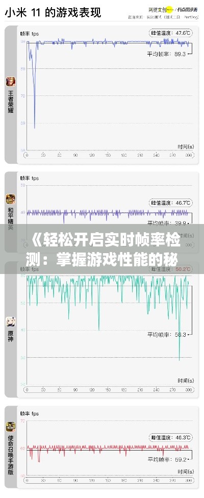 《轻松开启实时帧率检测：掌握游戏性能的秘诀》