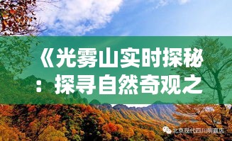 《光雾山实时探秘：探寻自然奇观之美》