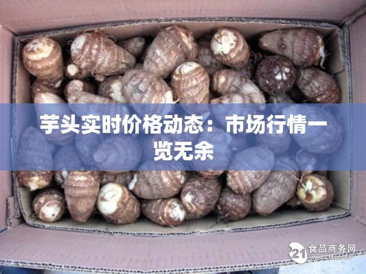 逸兴遄飞 第3页
