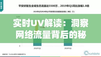 实时UV解读：洞察网络流量背后的秘密