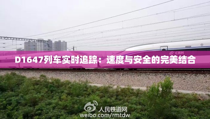 D1647列车实时追踪：速度与安全的完美结合