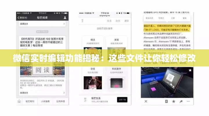 轻徙鸟举 第3页