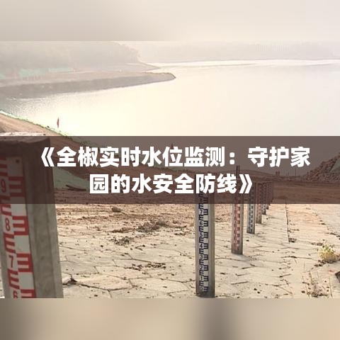 《全椒实时水位监测：守护家园的水安全防线》