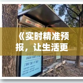 《实时精准预报，让生活更便捷——揭秘精准实时预报APP的魅力》