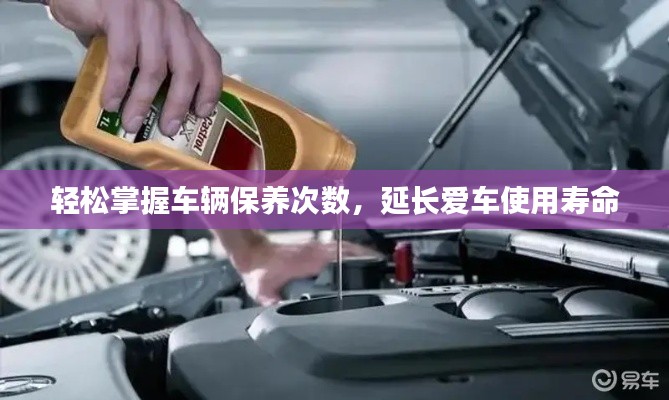 纡尊降贵 第3页