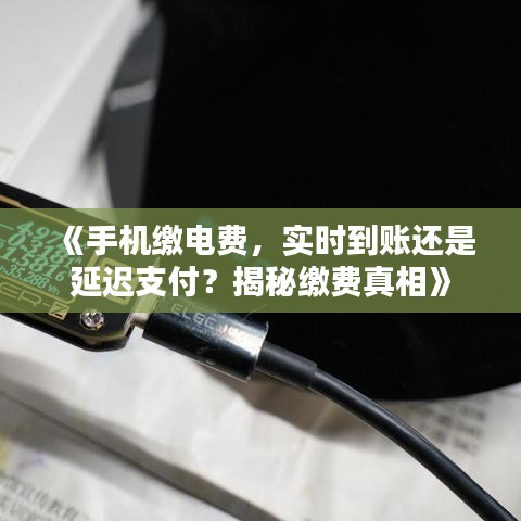 举步如飞 第3页