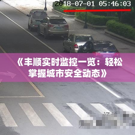 《丰顺实时监控一览：轻松掌握城市安全动态》