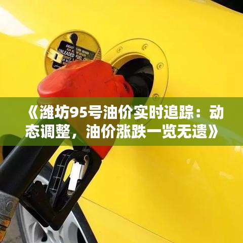 《潍坊95号油价实时追踪：动态调整，油价涨跌一览无遗》