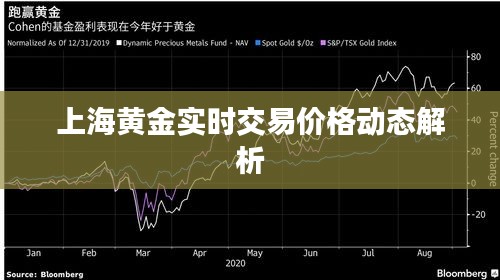 上海黄金实时交易价格动态解析