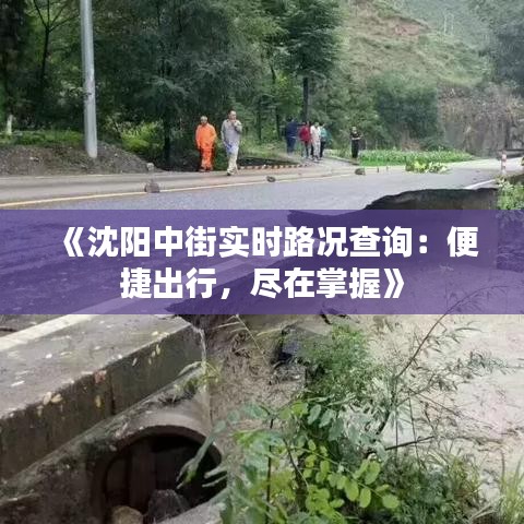 《沈阳中街实时路况查询：便捷出行，尽在掌握》