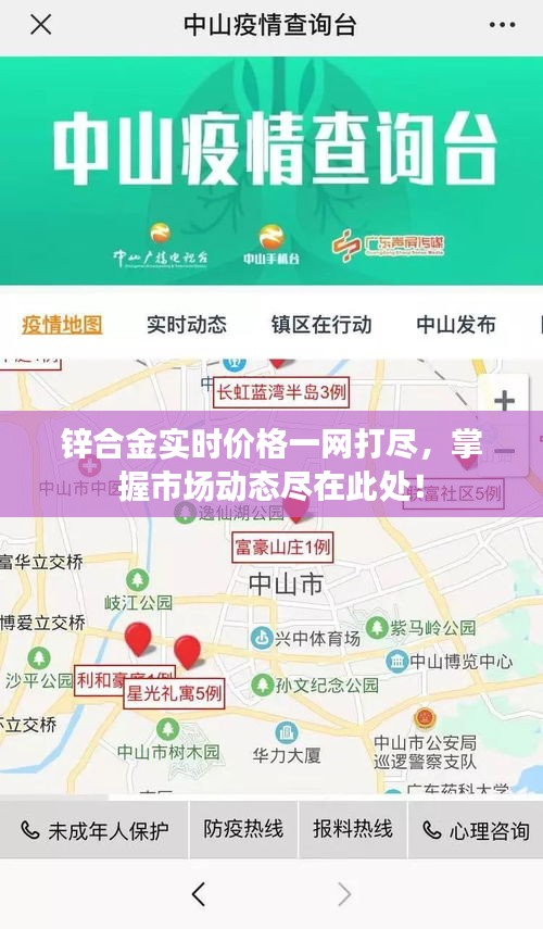 锌合金实时价格一网打尽，掌握市场动态尽在此处！
