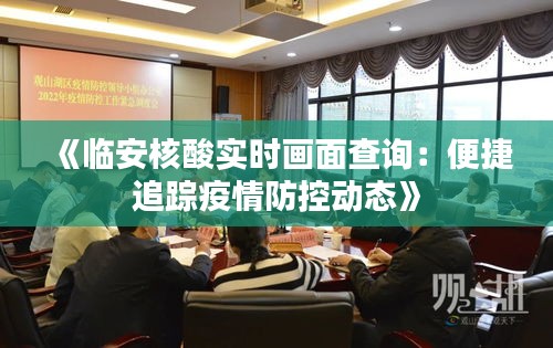 《临安核酸实时画面查询：便捷追踪疫情防控动态》