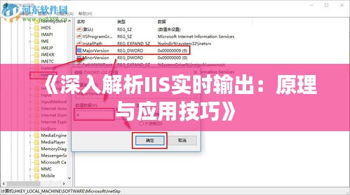 《深入解析IIS实时输出：原理与应用技巧》