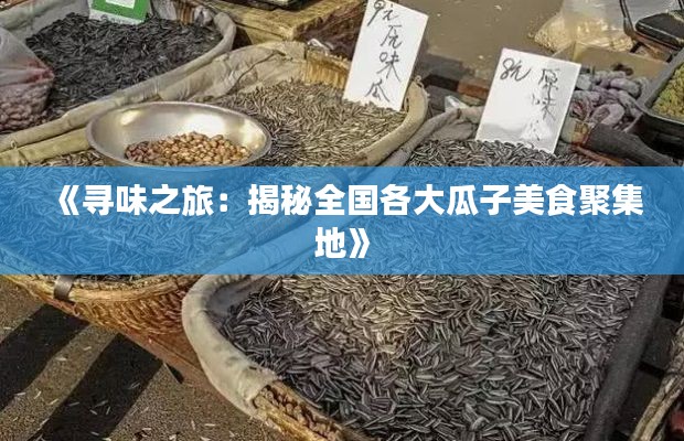《寻味之旅：揭秘全国各大瓜子美食聚集地》